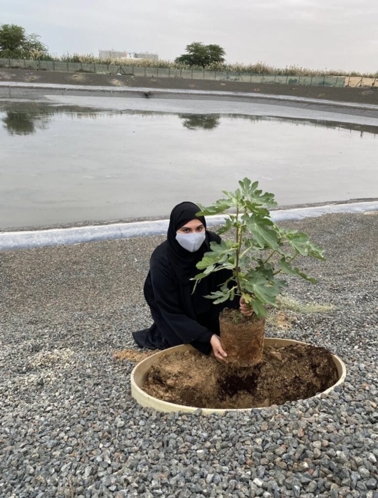 Maitha Alajmani plants a free.